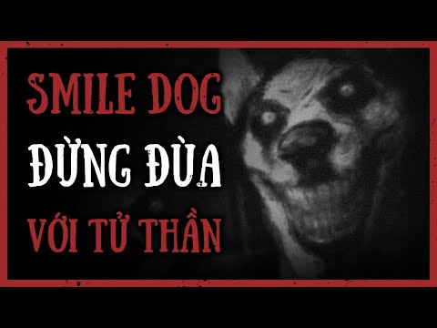 Video: Chó cười