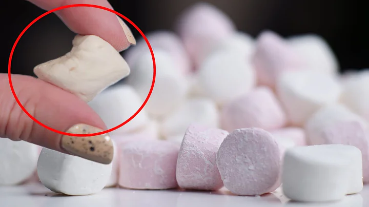 WEIRD 200 year old marshmallows | How to Cook That...