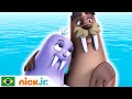 Patrulha Canina | Patrulha Canina Salva Walinda | Nick Jr. em Português