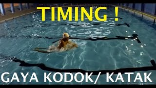 Kenapa Tarikan Tangan & Tendangan Kaki Gaya Dada Tidak berSAMAan ? TIMING - Drill Lengkap Gaya Dada