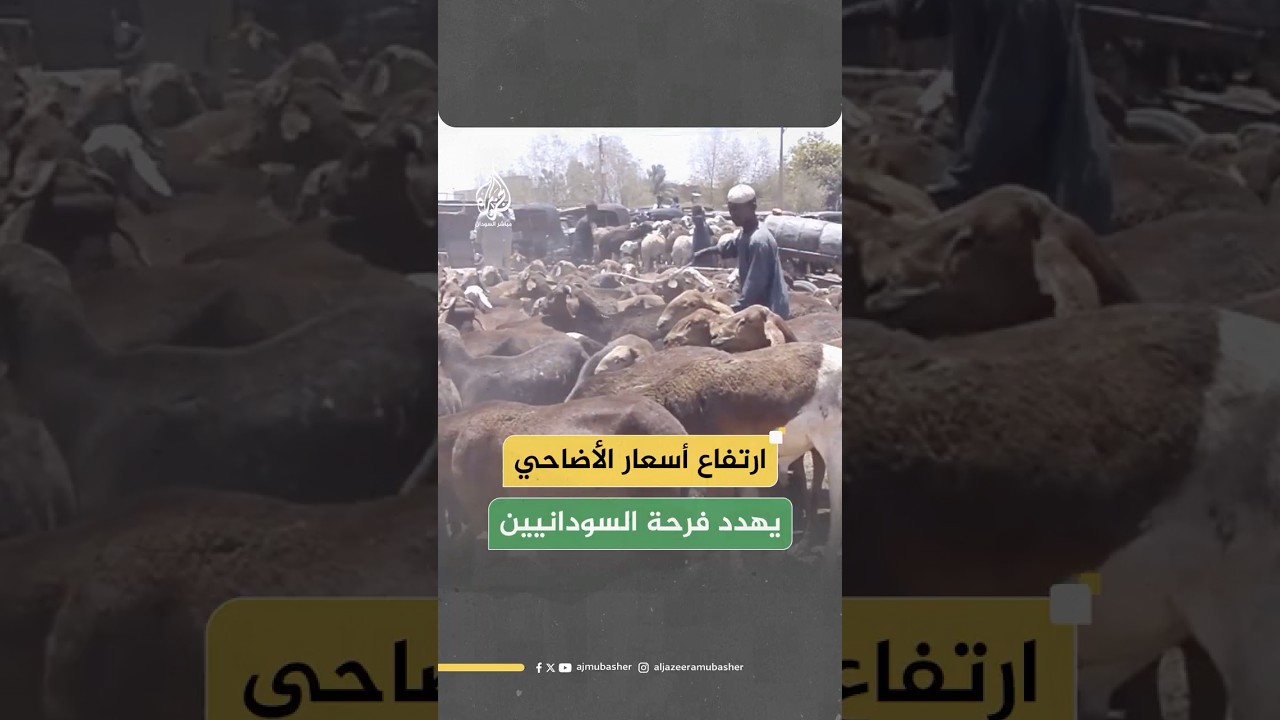 ارتفاع أسعار الأضاحي بالسودان في ظل الصعوبات الاقتصادية والإنسانية