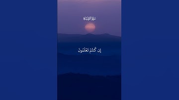 انفروا خفافا وثقالا #سورة التوبة #الشيخ سعد الغامدي القرءان الكريم #