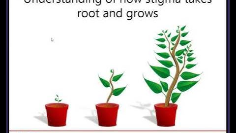ADHD Myths and the Stigmas They Perpetuate (with Michele Novotni, Ph.D.)