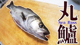 釣ってきたスズキをニンニク増し増しで焼いてみたら・・・