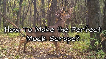 How to Create the Perfect Mock Scrape this Deer Season!