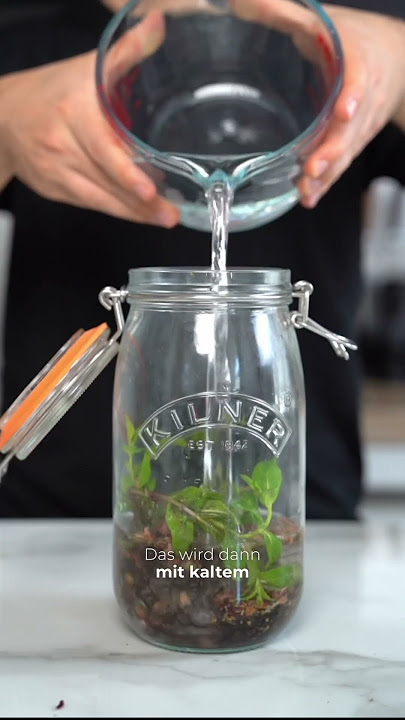 🥃Super Einfach - selbr gemachter Eistee für den Sommer 🥃