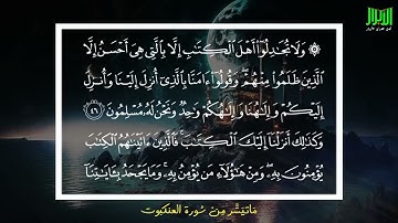 ما تيسَّرَ مِنْ سورةِ العنكبوت #أهل_القرآن_الأبرار