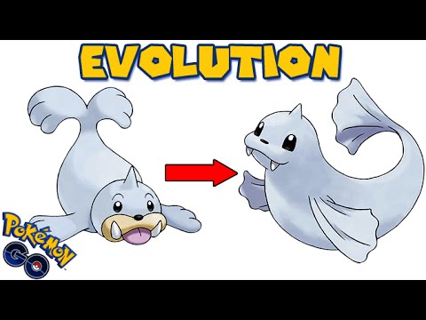 Seel Evolution Chart