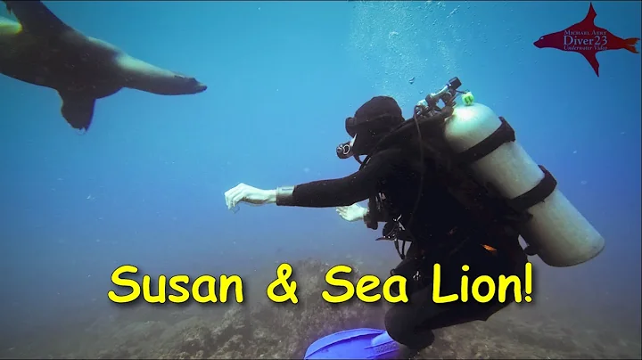 Susan & Sea Lion!