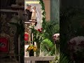 Catholic Mass: Gospel Reading from Matthew #shorts