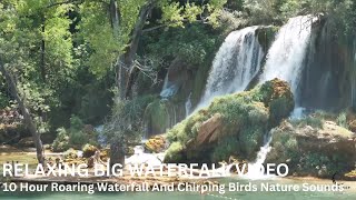 10 hour Roaring Waterfall and chirping birds nature sounds
