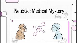 Neu5Gc: Medical Mystery (2026) [NotebookLM]