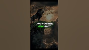 Stoic Strength: Harnessing Fear to Achieve Your Goals in 2025