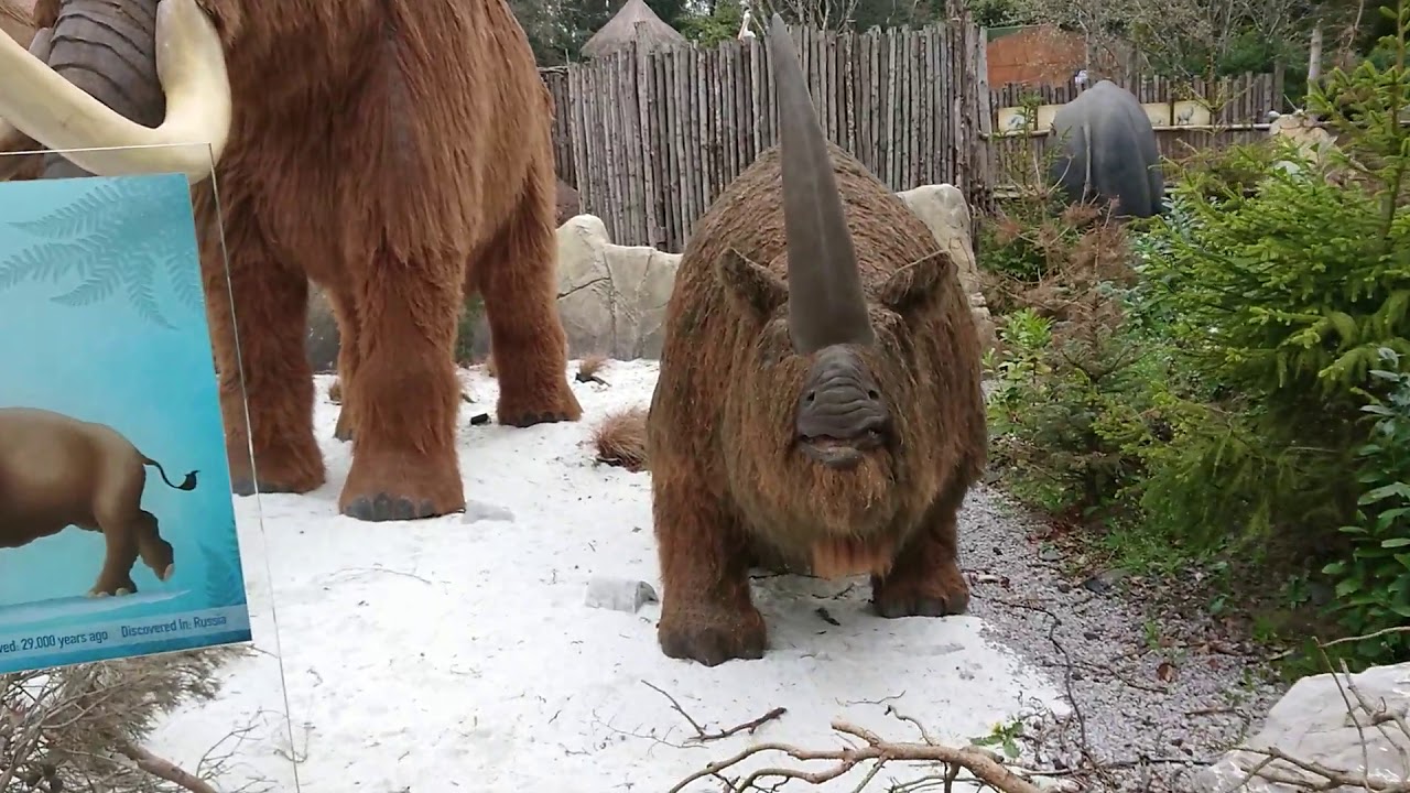 Ice Age At West Midlands Safari Park, April 2019