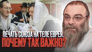 Печать союза на теле еврея. Почему так важно? Глава Торы 