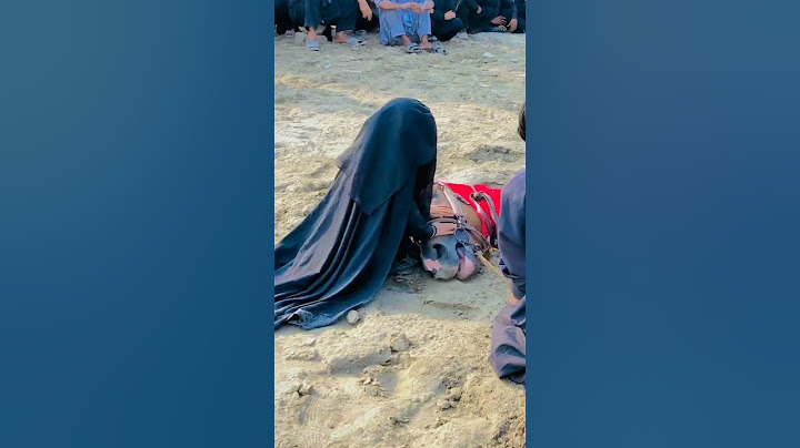 Hi Hussain Ibn e Ali 😭😭😭😭 #uqab #zuljanah #badshah