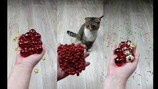 Cat Marbles Satisfying Reverse Video ASMR Funny Video