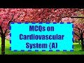 cardiovascular system multiple choice question and answer