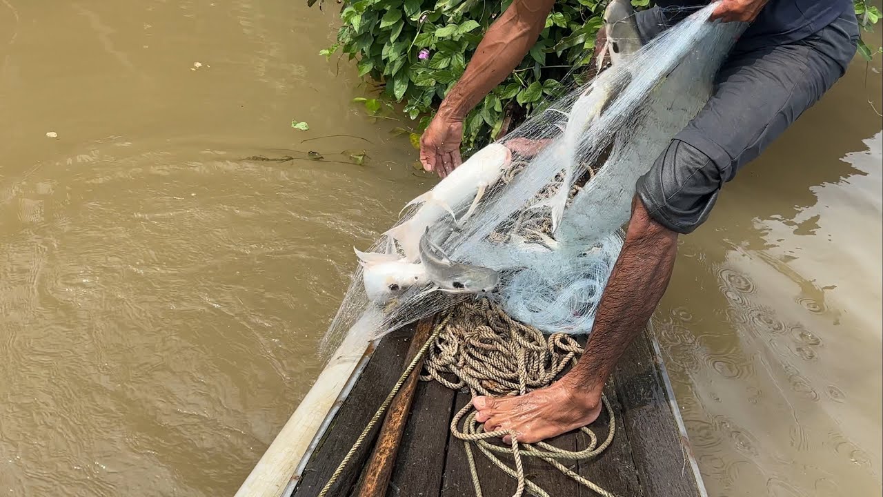 Cùng Anh Xuân Chạm Mặt Bầy Cá Dồ #fishing #mientay #xomchaitv 