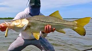 Fishing the Shallows: Tracking a Trophy in the Florida Backcountry