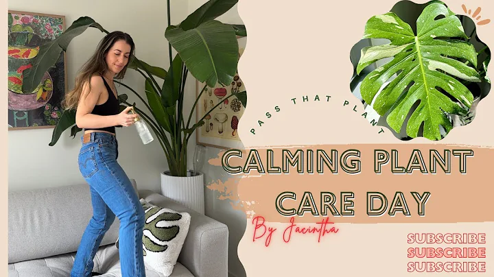 Houseplant Care Day ASMR |  Relaxing Day of Indoor Plant Chores | Watering Misting + Cutting Sounds