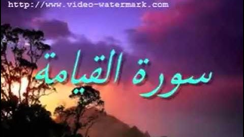 أحمد بلال سوره القيامه