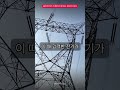 물리학자가 이해하지 못하는 현상이 있다