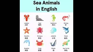 ［英语单词］海洋动物