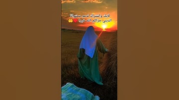 القران الكريم 🥺 #قران #لايك #السعودية #اكسبلور #الجزائر #ترند #قران_كريم #فلسطين #عبدالرحمن_مسعد
