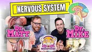 Nervous System | Overview