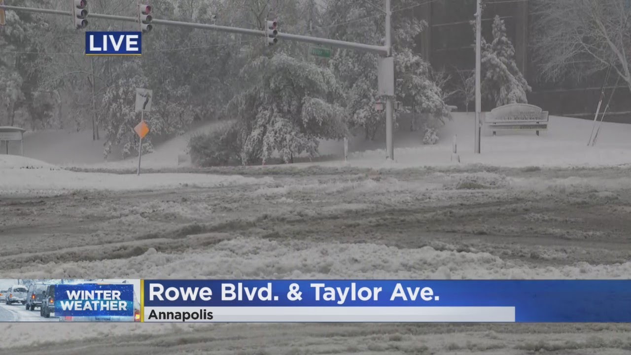 FAA Issues Ground Stop For BWI Flights YouTube