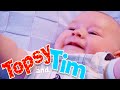 Topsy & Tim 127 - BABY JACK | Topsy and Tim Full Episodes