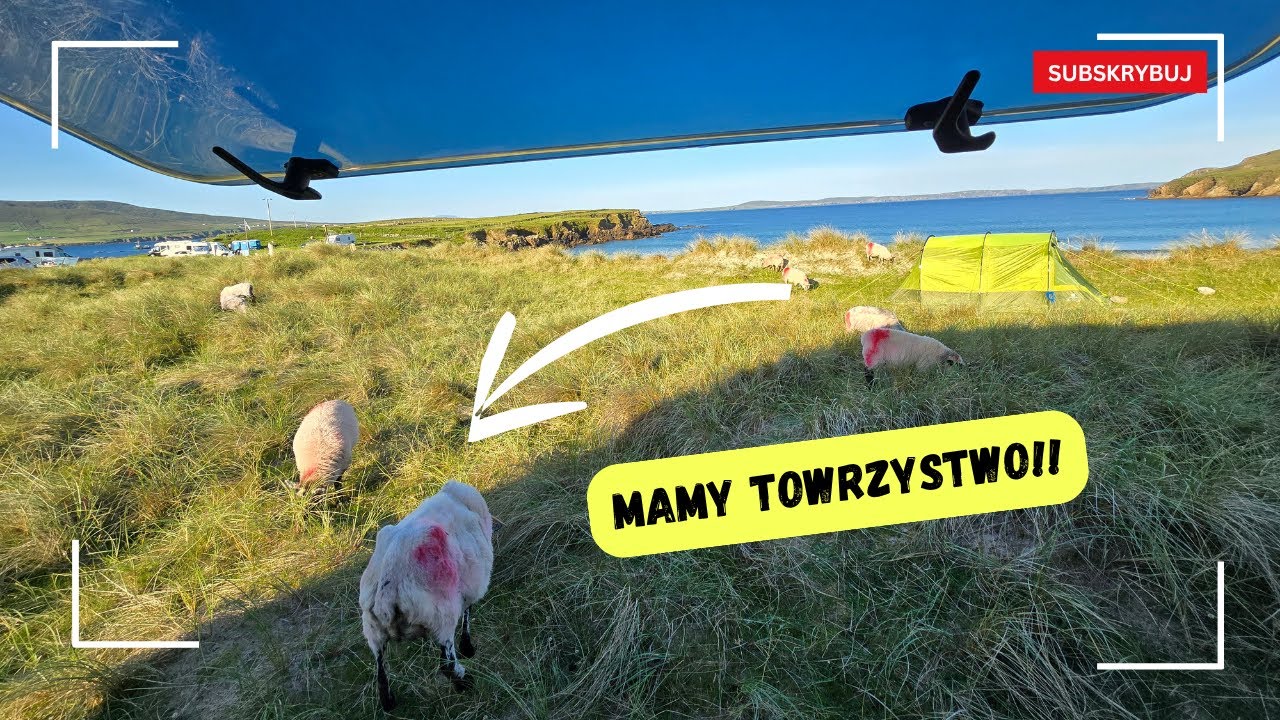 62. Parawaning | Irlandzkie Plaże l Wśród 🐑 baranów na wesoło 😊