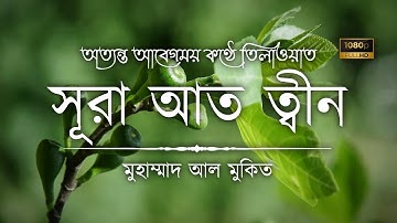 সূরা আত ত্বীন • Sura Tin - سورة التين • Muhammad Al Muqit • The Islam 24