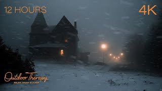 The Seclusion of a Frigid Winter Storm Calms Your Mind | Howling Wind & Blowing Snow Ambience by Outdoor Therapy 193,311 views 3 months ago 12 hours