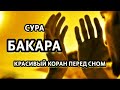 СУРА БАКАРА, ОТ ДЖИНА, ПОРЧИ И Сглаза, КРАСИВЫЙ КОРАН ПЕРЕД СНОМ