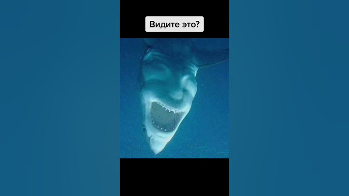 ПОЧЕМУ ПЕРЕВЕРНУТЫЕ АКУЛЫ ВЫГЛЯДЯТ КАК ДЪЯВОЛ???