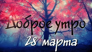 Доброе Утро - Выпуск 122 (28.03.2019)