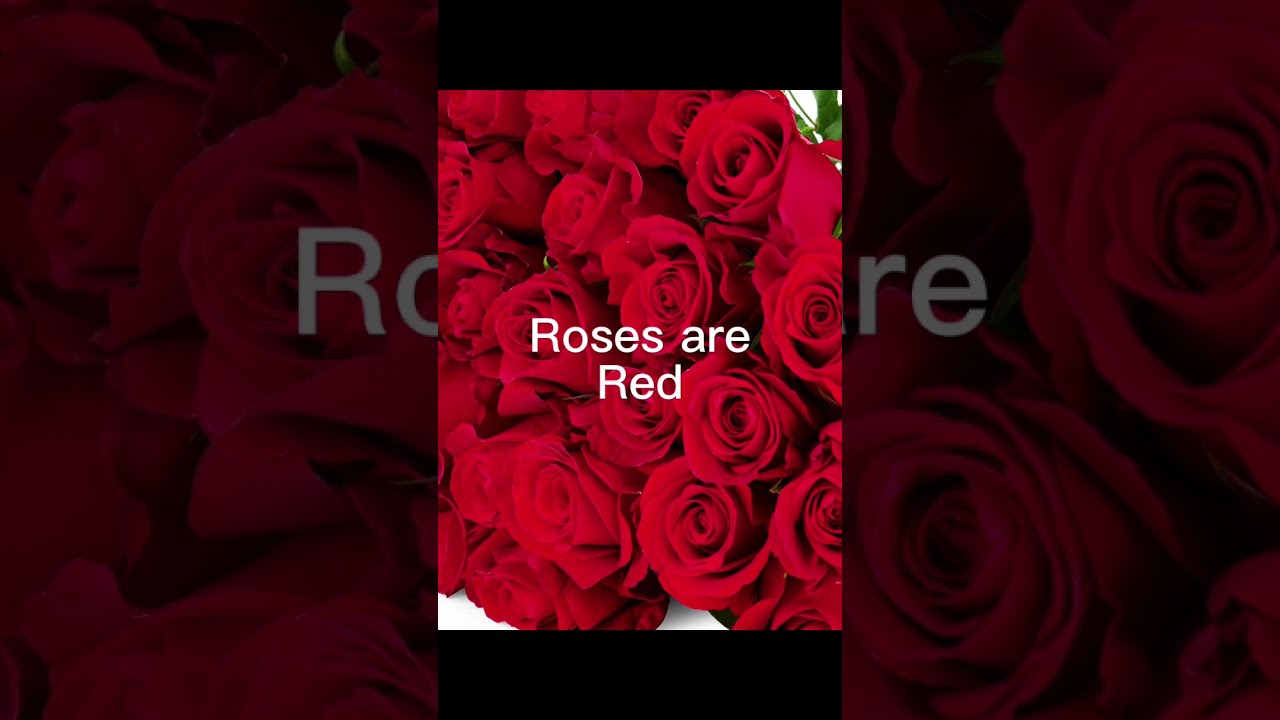 Send This To Your Mum 