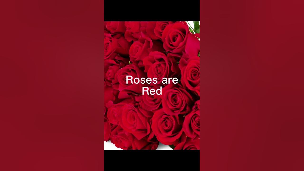Send this to your mum ❤️ Send this to your mum ❤️
