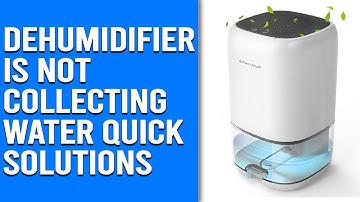 Dehumidifier is Not Collecting Water – Reasons and Quick Solutions