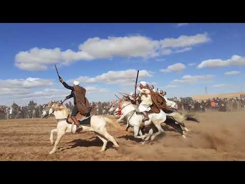 الله الله على الخيل و الفنطازية فرسان اولاد نايل لحرار من حضرة اولاد عبيد الله ترقبو الفيدوهات