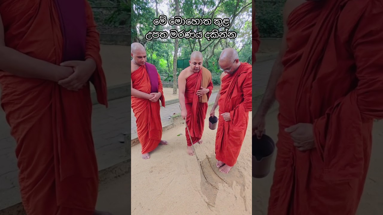 මේ මොහොත තුළ උපත මරණය