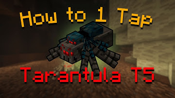 How to One Tap & Phase Skip Tarantula Tier 5 | Hypixel Skyblock