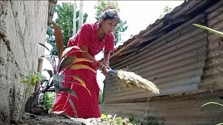 house cleaning vlog/cleaning vlog bengali house wife vlog /cooking vlog/@Bvlogs99