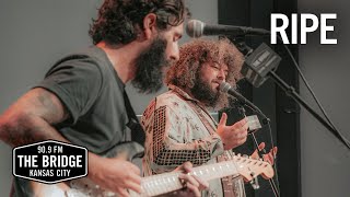 Ripe - 'Noise In The Forest' | The Bridge 909 Sessions