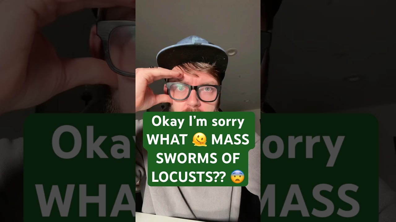 Okay I’m sorry WHAT 🫠 MASS SWARMS OF LOCUSTS?? 😨 idk what this is