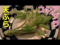 [春の山菜]山菜の女王コシアブラの天ぷらを揚げたて５秒で食らう！[幻の山菜]