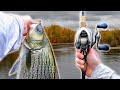 Chasing After The Most AGGRESSIVE Bass On The RIVER (New PB)
