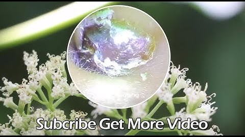 #75 - The Best Daily cleaning - Youry cooking